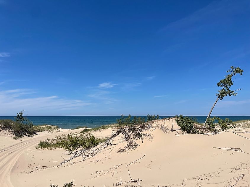 Silver Lake Sand Dunes