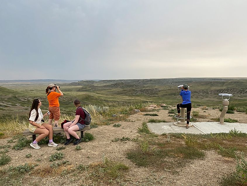 A group of women armed with binoculars look out over a vast and grassy prairie landscape.