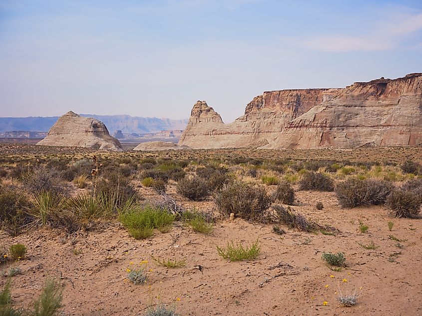 View from Amangiri Resort, Utah.