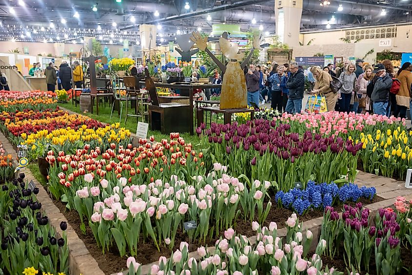 Philadelphia Flower Show