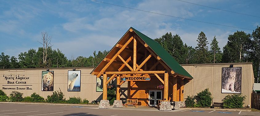 The North American Bear Center in Ely, Minnesota