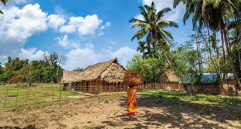 A tribe in India's Andaman and Nicobar.