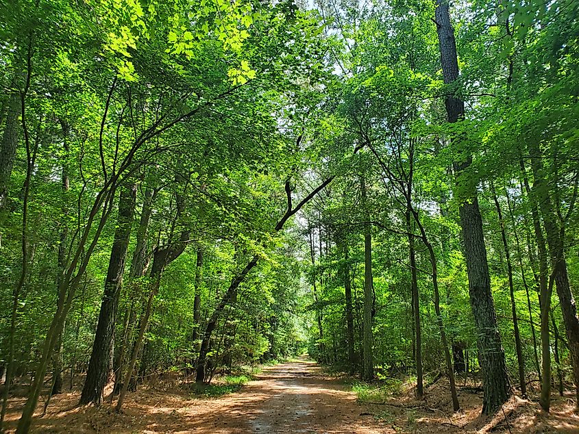 Trap Pond State Park