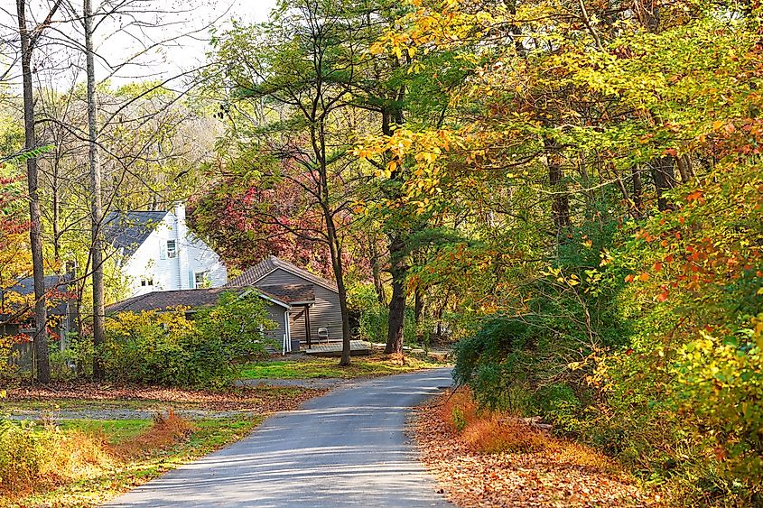 Autumn-colored trees around Stroudsburg, Pennsylvania