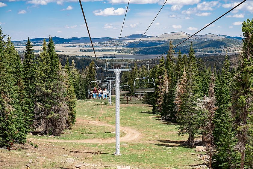 Scenic chairlift riders on the Sunrise High-Speed Quad in the summer. 