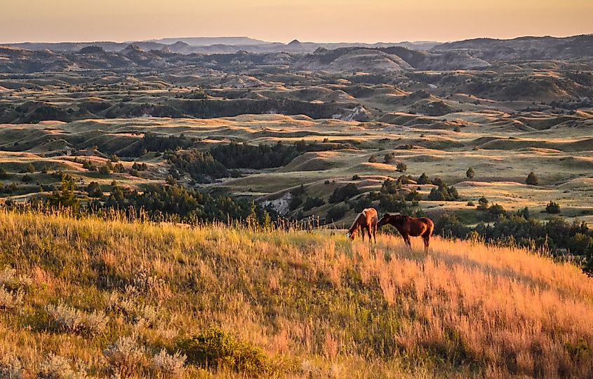 Theodore Roosevelt National Park, North Dakota