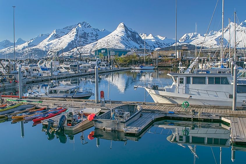 The harbor at Valdez, Alaska