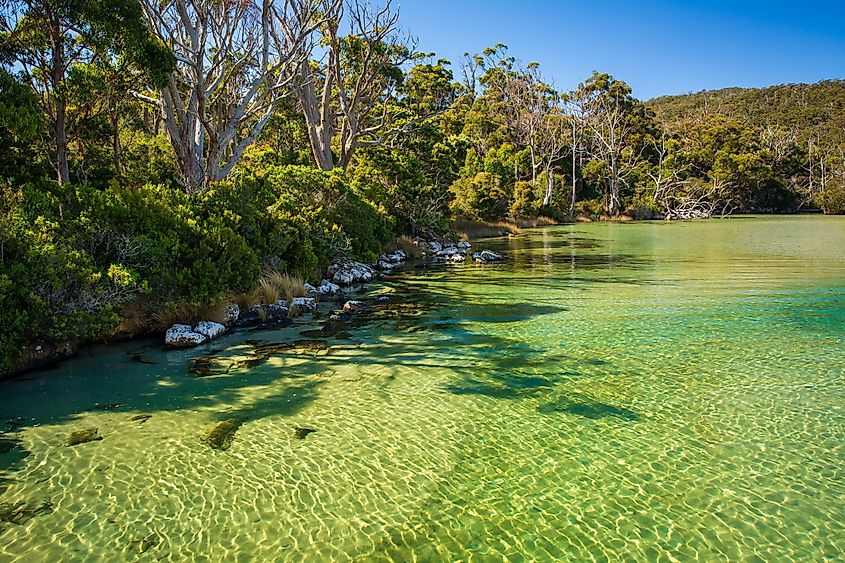 Cockle Creek in Tasmania's Southwest National Park.