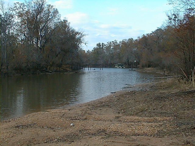 A waterside view in the Mobile-Tensaw River Delta.