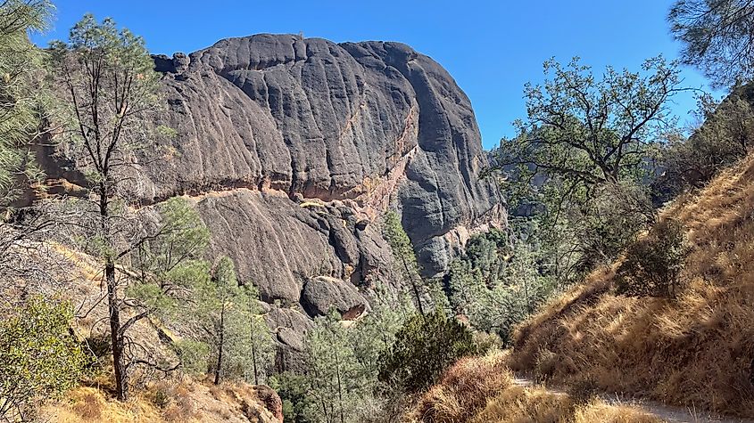 The twisted and darkened, yet forested landscape of the extinct volcanic system of Pinnacles National Park 