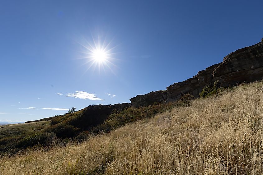 The bottom of the buffalo jump, where the buffalo who tumbled over either died from the fall or were slaughtered by waiting butchers.