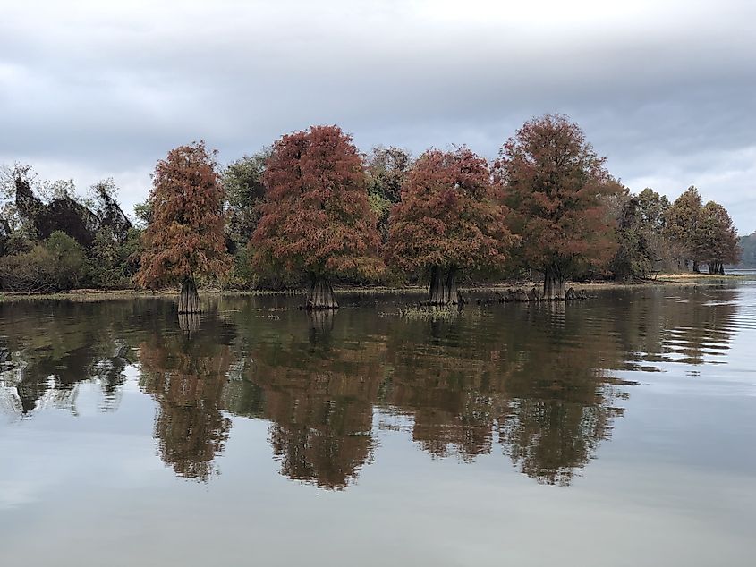 Bird Island on Lake Eufaula, Alabama