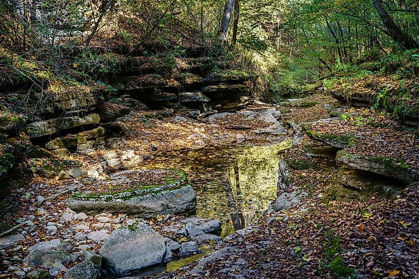 Raven Run creek and ravine in Raven Run Nature Sanctuary in Lexington, Kentucky