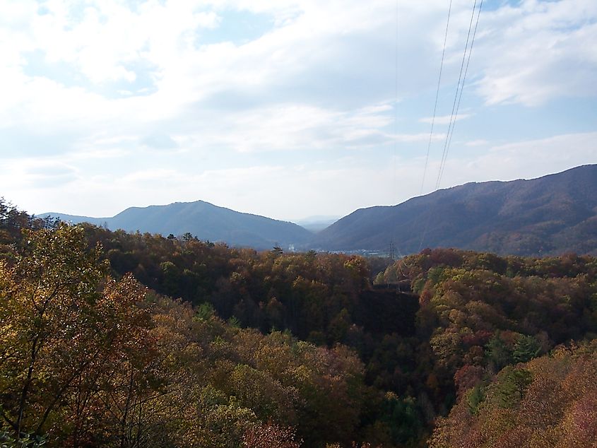 Greenbrier State Forest. 