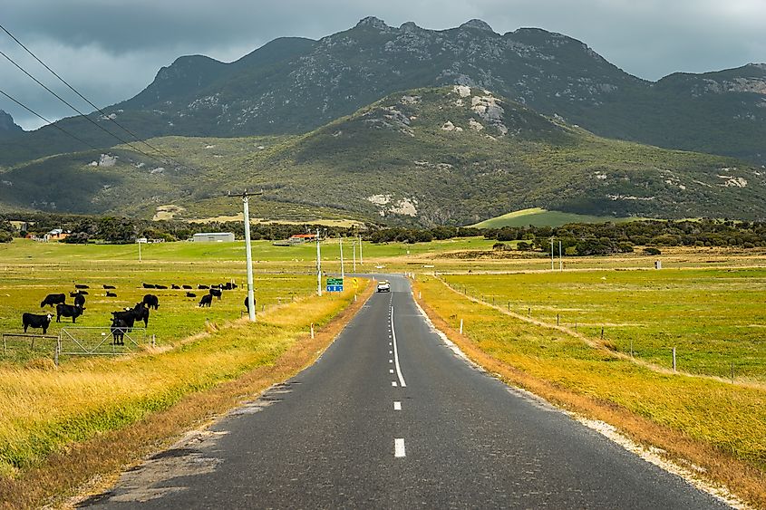 Road to Mount Strzelecki on Flinders Island, Tasmania.