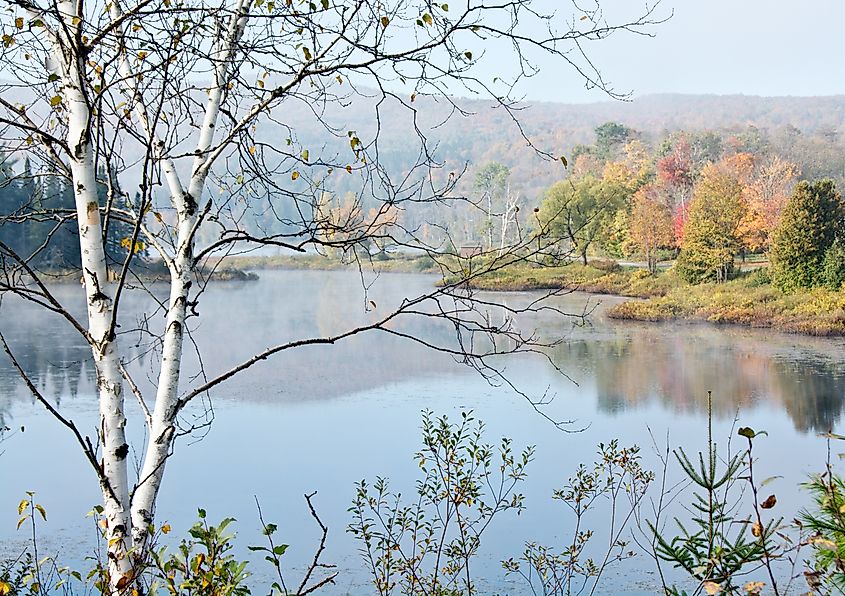 Pond in Berlin, Vermont