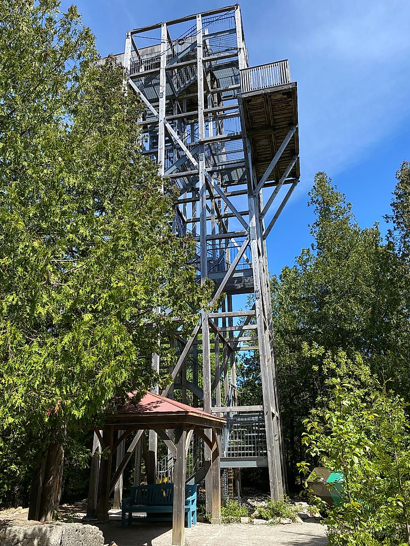 A tall wooden lookout tower in a forest.