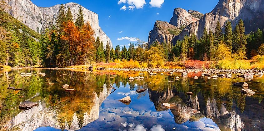 A reflection of trees against a pond during fall in Yosemite Valley, California