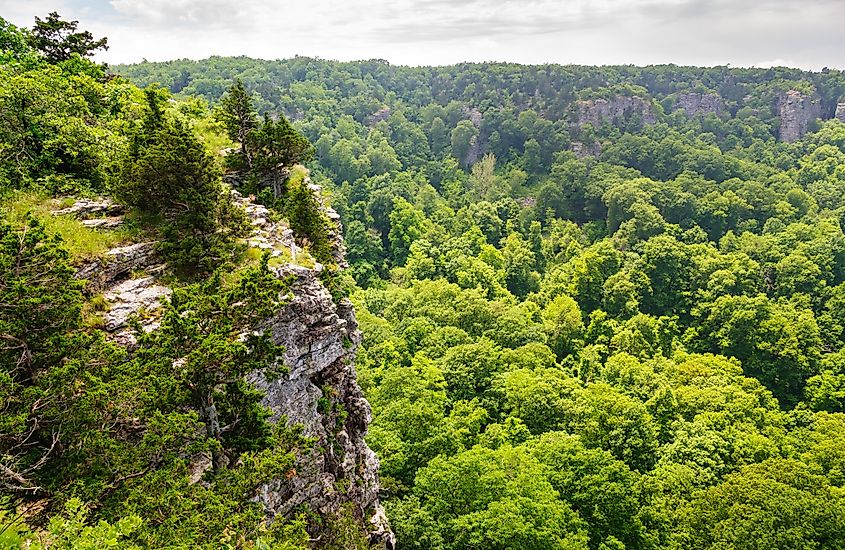 Mount Magazine State Park in the Ozark-St. Francis National Forest (Credit: Zack Frank via Shutterstock)