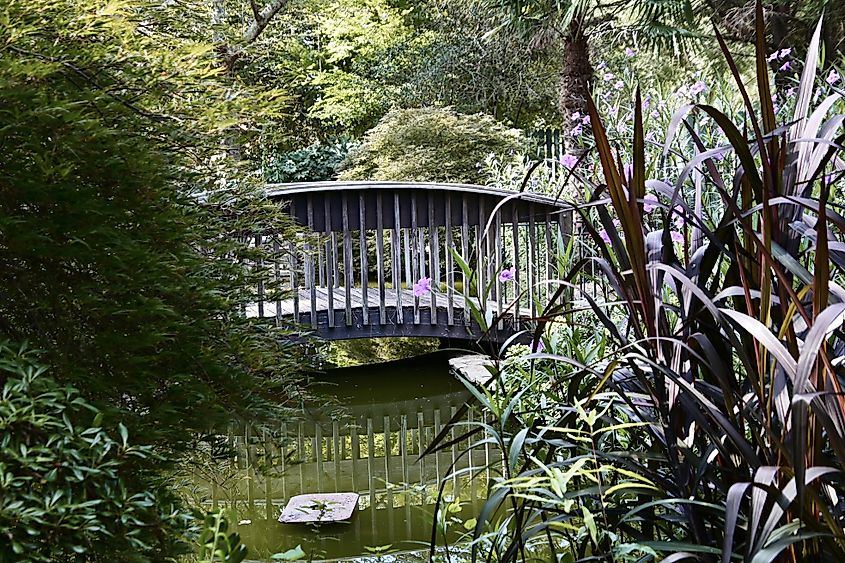 Edisto Memorial Gardens in Orangeburg, South Carolina