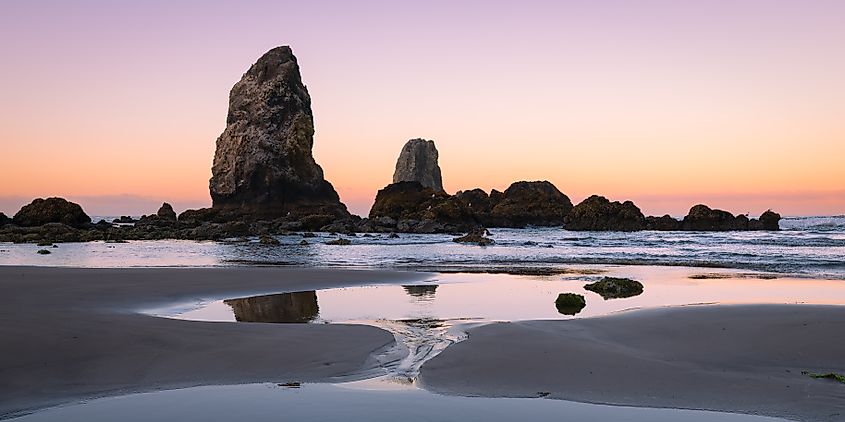 The Needles sea stacks at Cannon Beach, Oregon, standing prominently alongside the beach at low tide during dawn