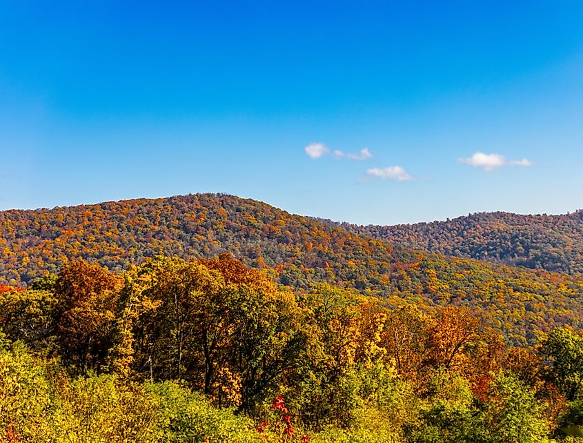 Pig Trail Scenic Byway