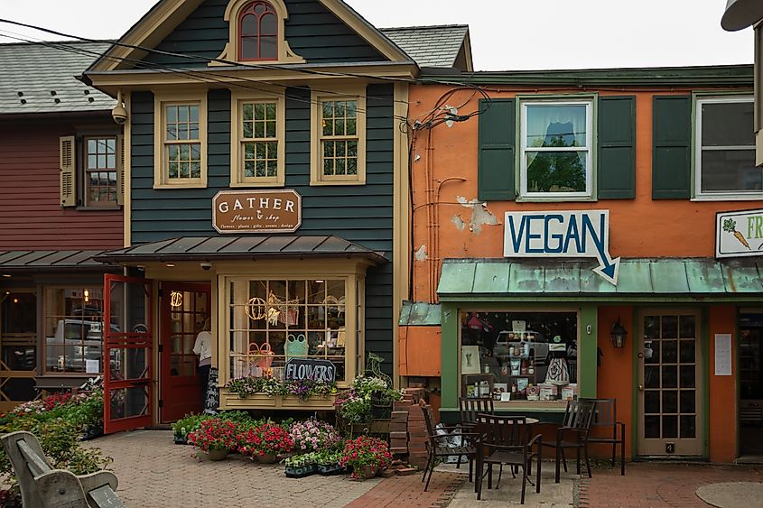 Shops in downtown Frenchtown.