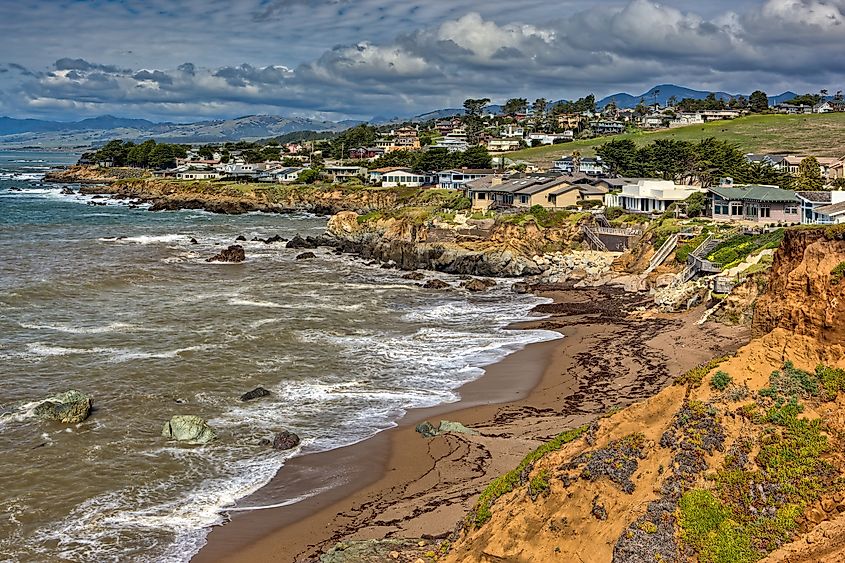 Overlooking Abalone Cove, Cambria, California.