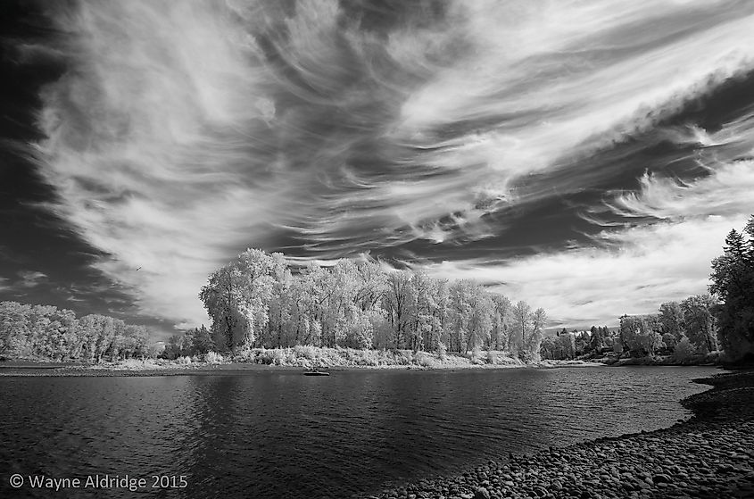 Goat Island, Willamette River, West Linn, Oregon.