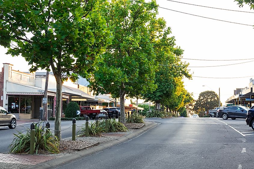 Treelined McCartin Street in the downtown district of Leongatha