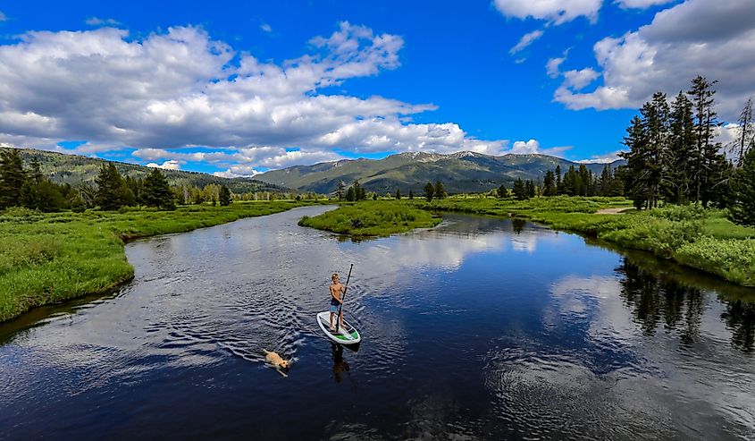 A boy and his yellow lab paddle on the headwaters of the Middle Fork of the Salmon River, Idaho