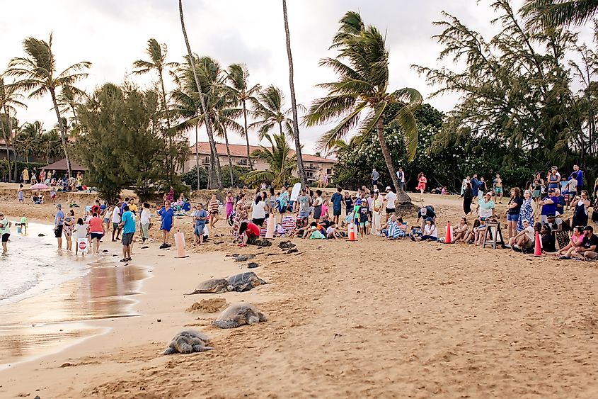 Tourists at Poipu Beach