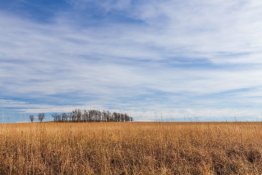 Joseph H. Williams Tallgrass Prairie Preserve