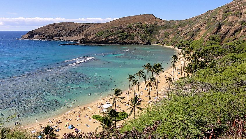 Hanauma Bay.