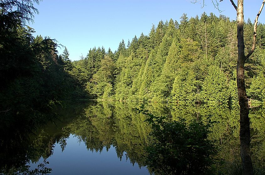 Fragrance Lake on Chuckanut Mountain, Washington.