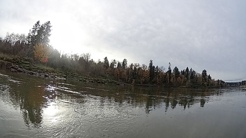 Hog Island Willamette River, Oregon.