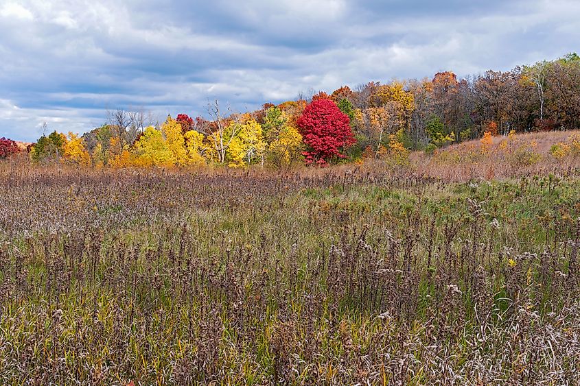 View of fall foliage in Afton State Park, Minnesota.