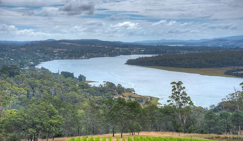 Valley of river Tamar in Tasmania, Australia