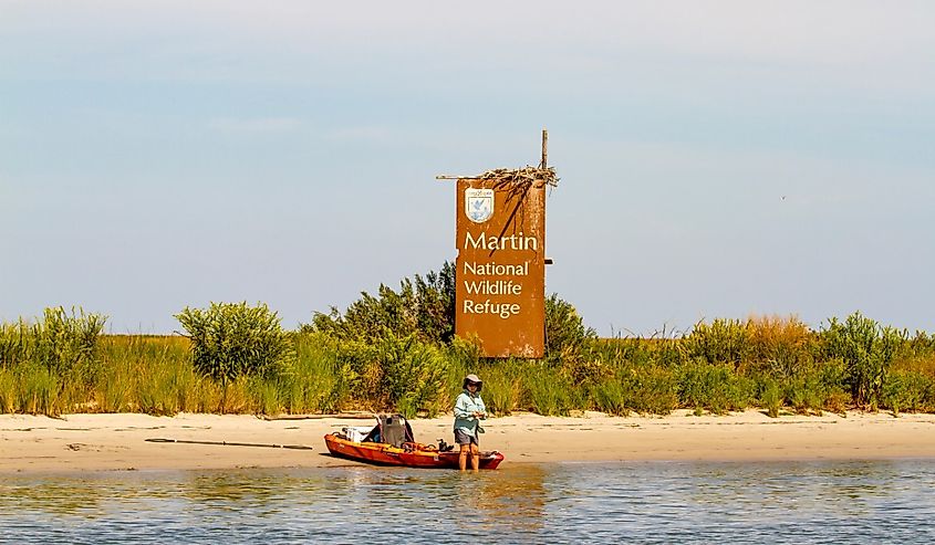 U.S. Fish and Wildlife Services Martin National Wildlife Refuge, Smith Island, Maryland.