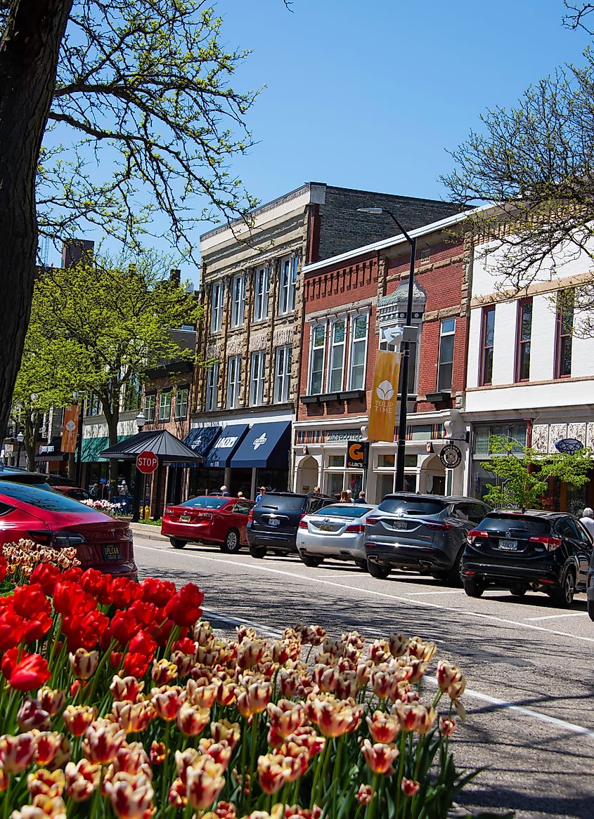 Tulips blooming in downtown Holland, a small, quaint town in western Michigan. Editorial credit: Juli Scalzi / Shutterstock.com