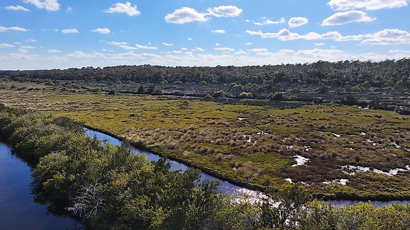 The Ormond Beach Scenic Loop and Trail offers breathtaking roadway views, showcasing vistas of rivers, creeks, marshes, and the expansive Tomoka Basin.