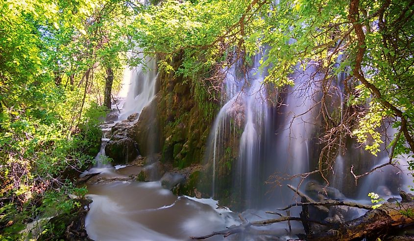 Gorman Falls, Colorado Bend State Park, in the Texas Hill Country flows rapidly after rainfall down a cliff of green moss and rocks.