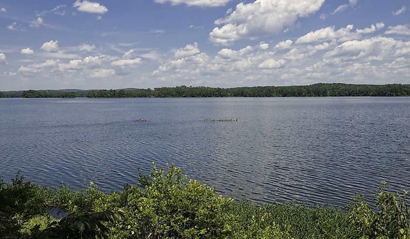 Lay Lake on a sunny summer day.