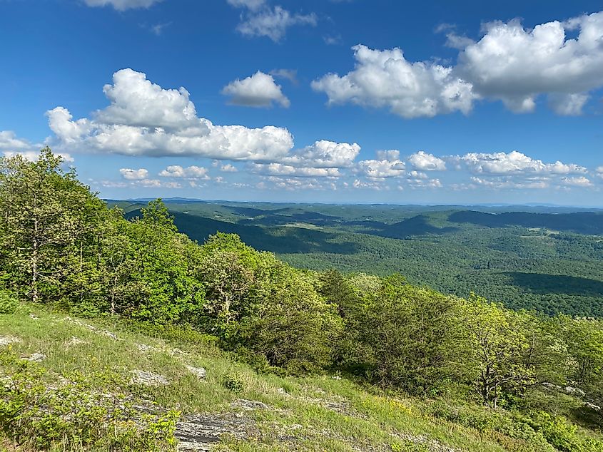 View from the Buffalo Mountain new Floyd, Virginia.