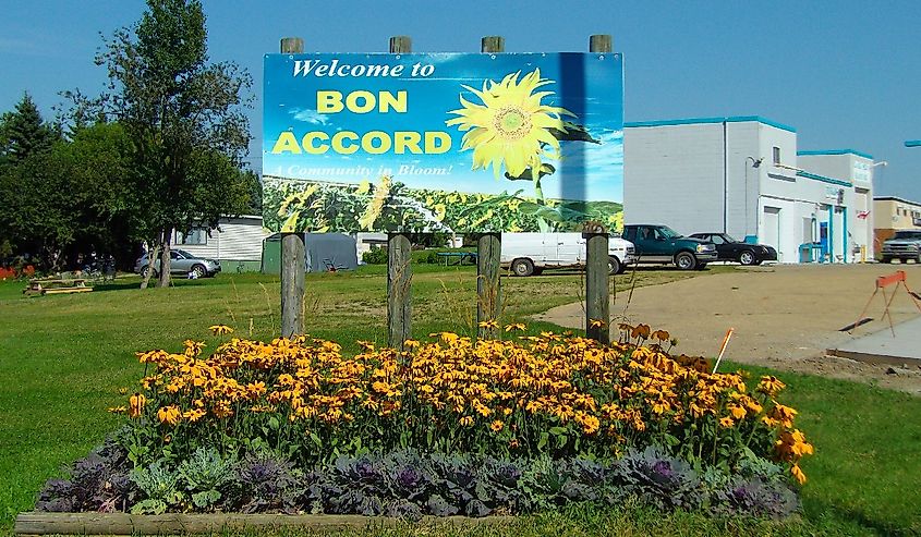 Bon Accord, Alberta, Sun Flower Sign.