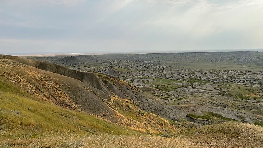 The scene at Grasslands National Park: a vast and undulating prairie landscape. 