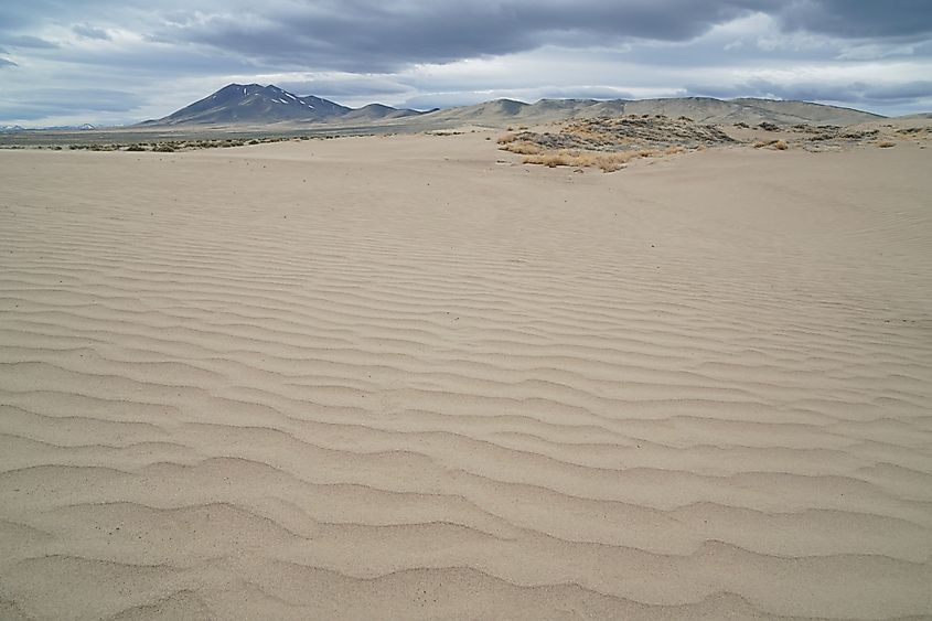 Winnemucca Sand Dunes