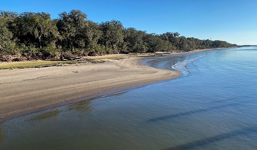 Cumberland Island National Seashore.