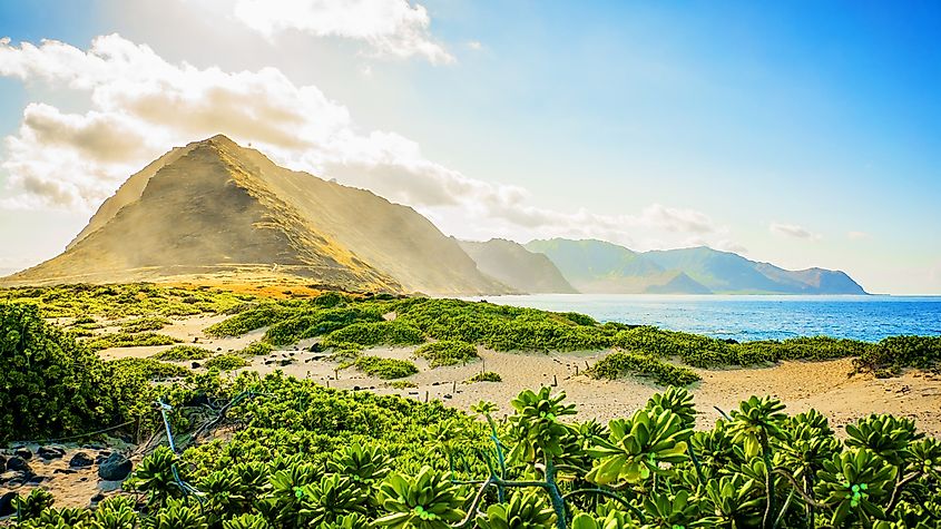 Sunrise at Kaʻena Point