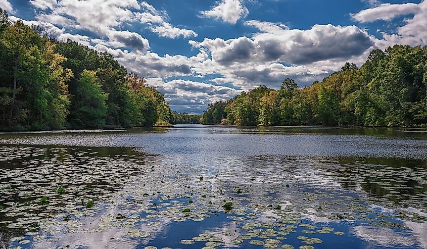 Davidson Mill Pond in South Brunswick, New Jersey.